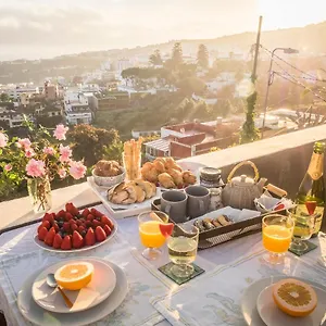 https://vista-del-drago.in-canary-islands.com